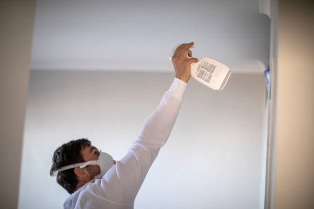 Best Emergency Mold Removal  in Wake Forest, NC
