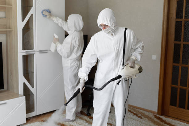 Mold Testing and Removal in Wake Forest, NC