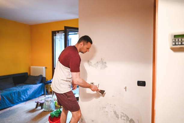 Best Home Mold Removal  in Wake Forest, NC